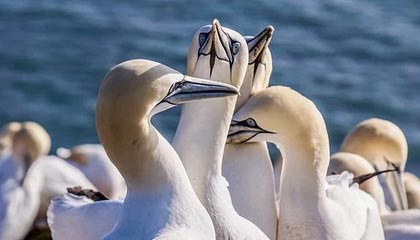 克东县足球邀请赛落幕